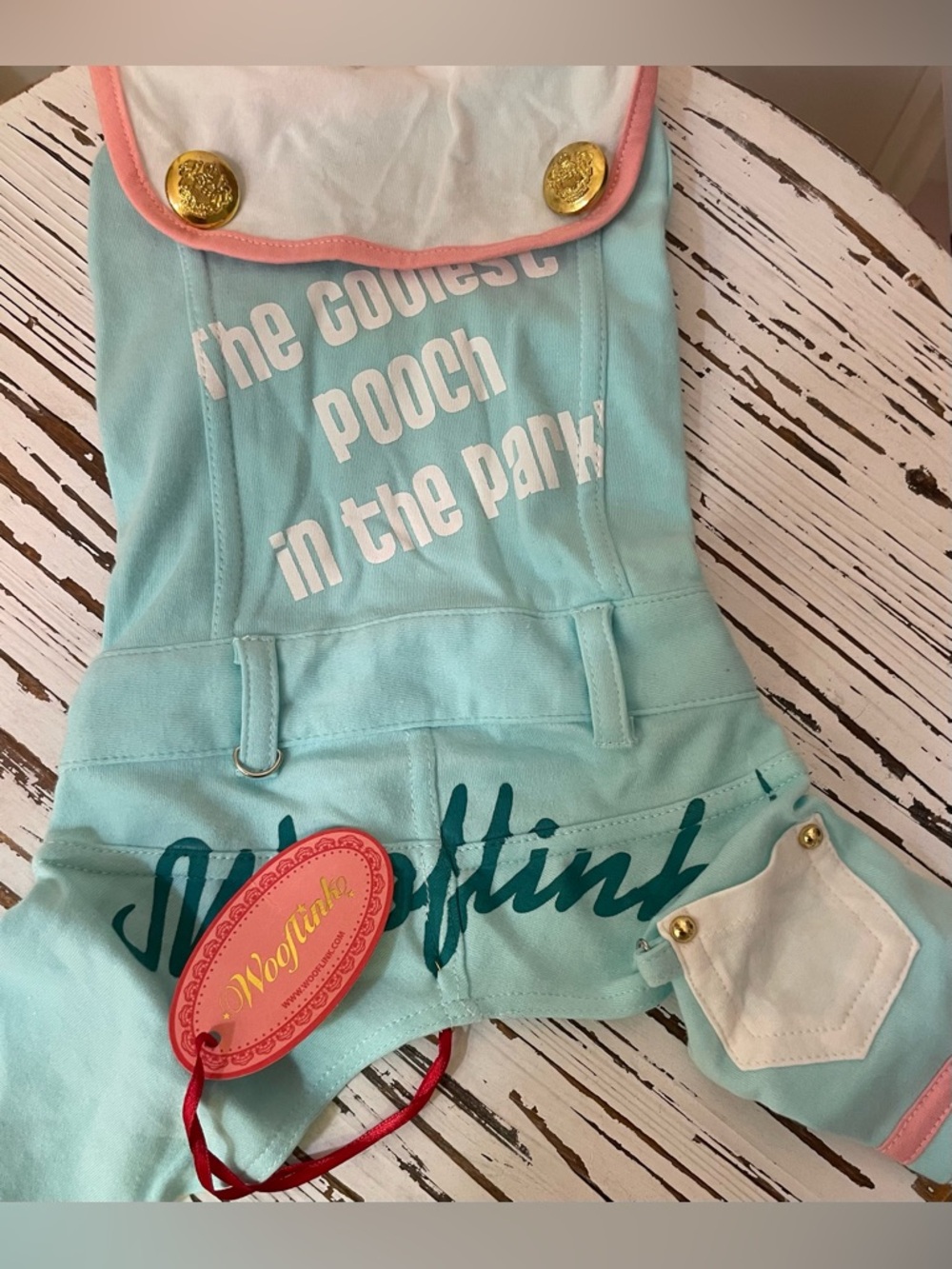 Cute Aqua & White Dog Jumpsuit with Pink Trim
Size 3